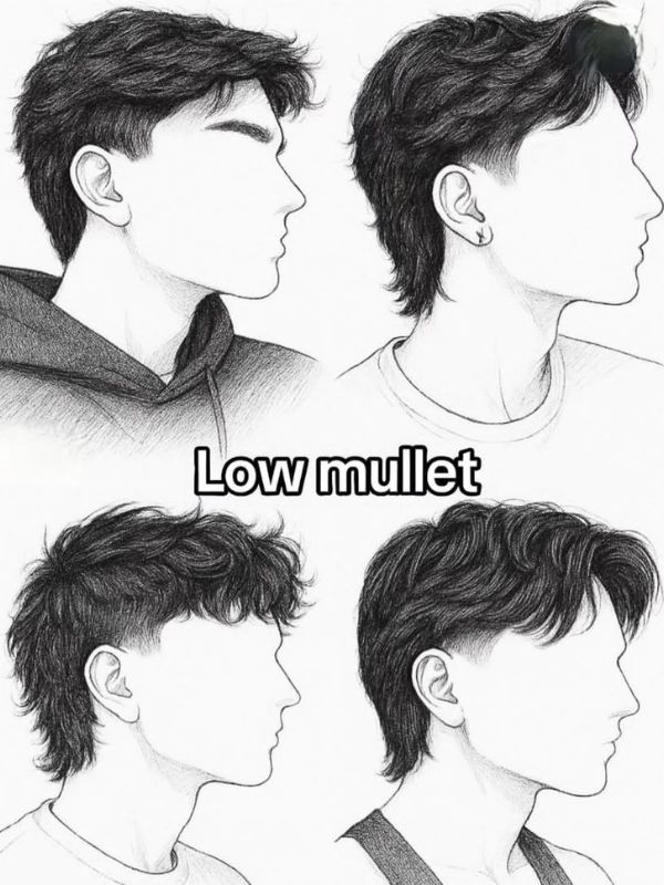 Modern mullet low fade
