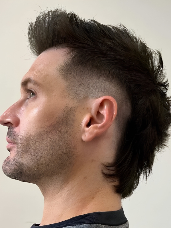 Editorial Volume Mullet