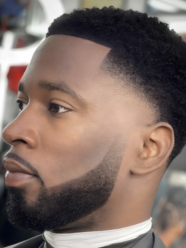 Taper Fade Afro with Line Up